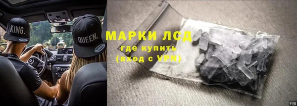 СК Сосновый Бор