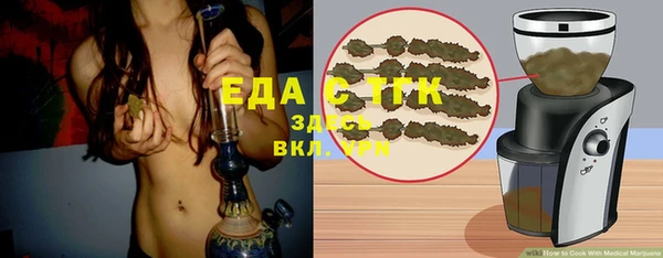 СК Сосновый Бор