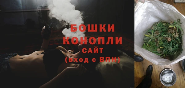 трава Снежинск