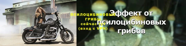 ПСИЛОЦИБИНОВЫЕ ГРИБЫ Слюдянка