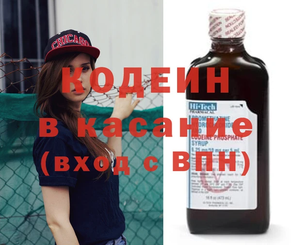 СК Сосновый Бор