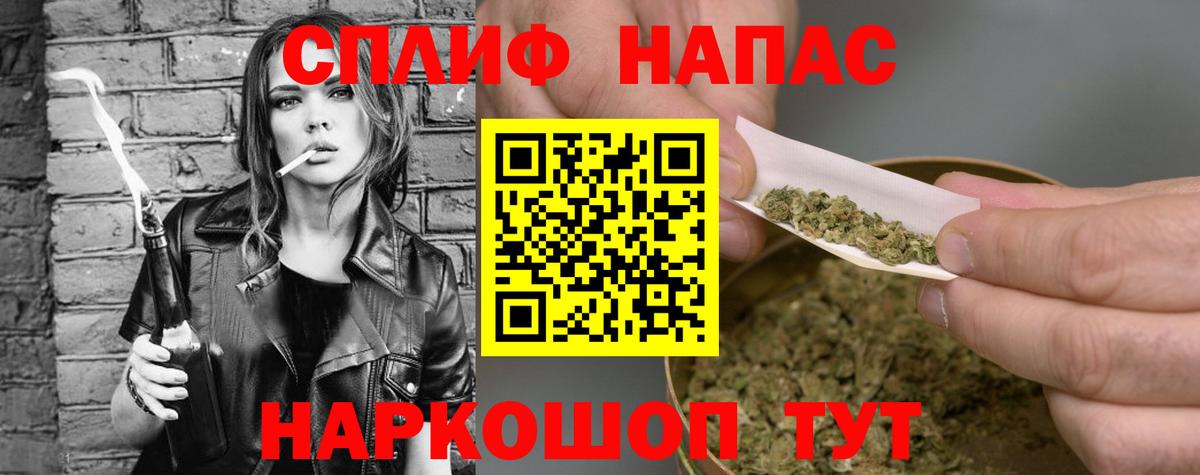 Канабис планчик  Бор  Шишки марихуана OG Kush  Каннабис семена  Бошки Шишки гибрид 